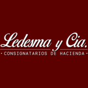 (c) Ledesmaycia.com.ar